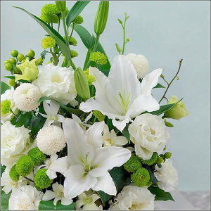  AWg    49  @ y  SuԍvzCgEO[