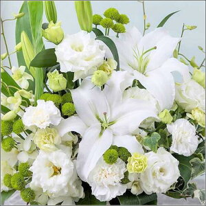  AWg    49  @ y  SuԏdˁvzCgEO[