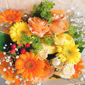 av[g ԑ  AW u@̉ԑLTCYvy a LO  zCgf[ ̓ ̓ hV̓ NX}X