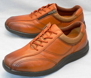 y[h}[`29cmzyzShutDryhF4EFWM3118FuE(WM3118BR)FrbOTCYF傫TCYFEH[LO29cm