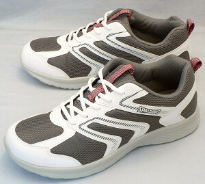 yX|fBO29cmzyz4EyʁFJN-379FO[×(JIN3790H/W)FrbOTCYF傫TCYFXj[J[29cm