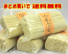 送料無料！　松武屋　稲庭うどん　切り落とし1kg×5袋