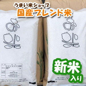 【令和2年産新米入り】米 お米 10kg (5kg×2袋) 【送料無料】家庭応援米 安い 価格重視 質より量をお求めの方へ