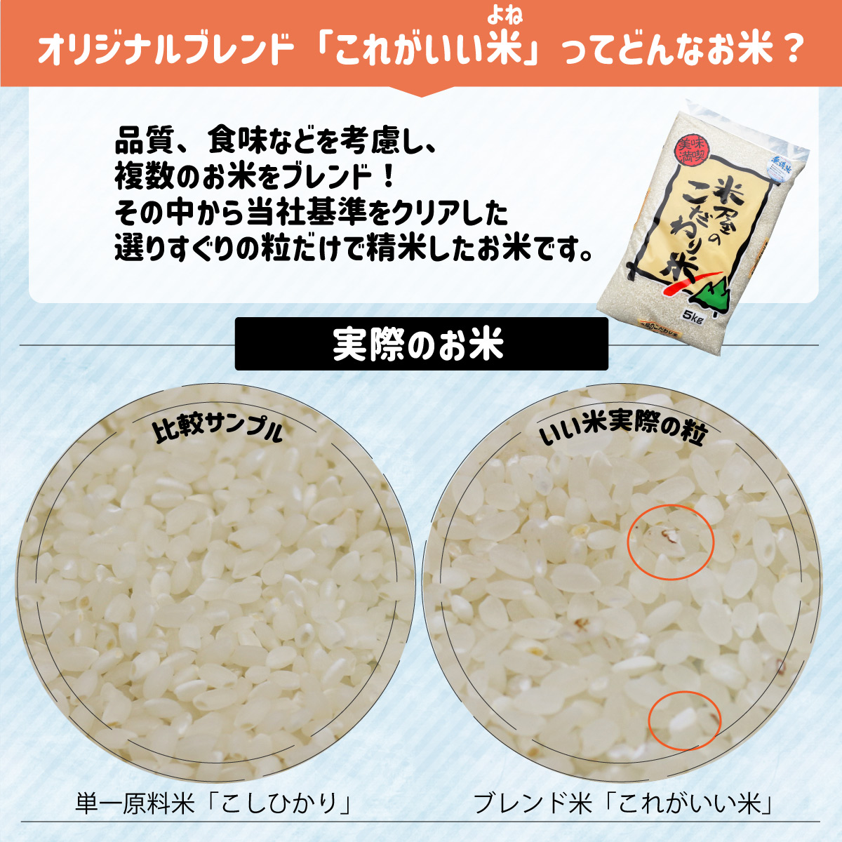 米　お米　無洗米　４ｋｇ×２　ブレンド米　国内産　お米屋　お薦め　業務用　送料無料　