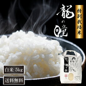 龍の瞳 5kg 飛騨産 特別栽培米 お米 令和7年産 白米 送料無料 減農薬 飛騨産 敬老の日 お歳暮 ギフト 竜の瞳 金賞受賞 米 化学肥料不使用 (いのちの壱)【認定特約店】
