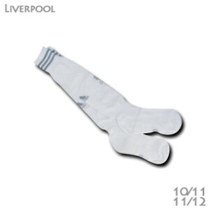 yX[p[Z[zov[@10/11A11/12@XgbLO@@AfB_Xy[֑z