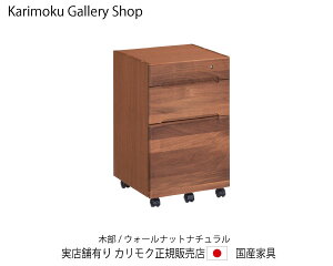 JN NAlES SW8000XR EH[ibgi` JNƋ Karimoku K̔X YƋyzy񂹕izyiszyXܗLEJNM