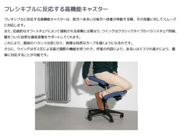 楽天市場】VARIER ヴァリエール 【正規取扱販売店】【お取り寄せ品 