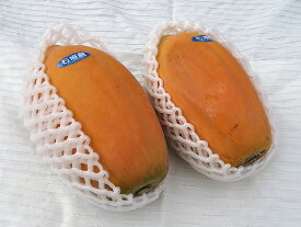 フルーツパパイヤ詰め合わせ　約2kg(2〜5個)沖縄・石垣島から直送