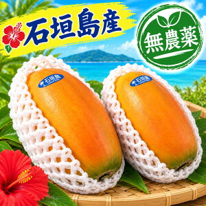 �t���[�c�p�p�C���l�ߍ��킹�@��2kg(2�`5��)����E�Ί_�����璼��