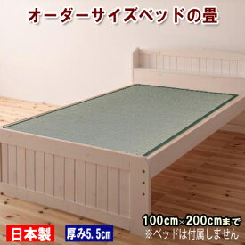 畳ベッド ベッド畳 シングルベッド用 取り換え畳 マット 国産 置き畳 シングルサイズ厚み5.5cmタイプ　幅100cm×長さ200cm　オーダーサイズ