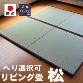 ユニット畳 置き畳 畳 マット 琉球畳 い草ラグ フローリング 半畳「松」　2枚セット