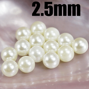 Ȃp[ @2.5mm @300 @|@lCpi@ANZT[p[c@|pi@pi