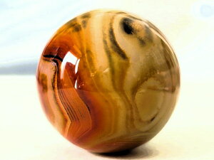 ΁@Ȗ@ۋ 41mm@1@VR΁@u@p[Xg[@΁@J^@V׏i