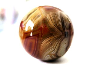 ΁@Ȗ@ۋ 42mm@1@VR΁@u@p[Xg[@΁@J^@V׏i