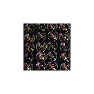 ׃l`Ar[Y@ ~jKN @fBXN@ubN 15-16mm@ANZT[p[c@|pi