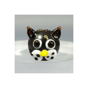 g{ʁ@fUC[ԔL@12mm@2@pi@ANZT[p[c@|pi