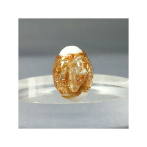 xl`Ar[Y@S[h@ic^@12x17mm@ANZT[p[c|pi@lbNX@ꕨ