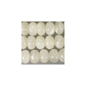 VR [Xg[ {^` 5x8mm 1{@ANZTp[c@΁@p[Xg[@uXbg