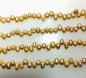 Wp[@I[o@NI@s[`F@߁@()5x6mm1{40cm90@Vׁ@ANZT[p[c@|i@lbNX@sAX@C