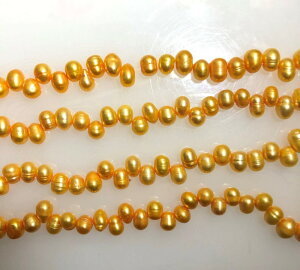 Wp[@s[`S[hFi߁jI[oA|eg` NI@10x7mm1{38cm60@Vׁ@ANZT[p[c@|i@lbNX