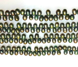 Wp[@_[NO[i߁jI[oA|eg^@NI@8x5mm@1{@V׏i@ANZT[p[c@CO@sAX@ANZT[