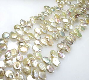 Wp[@obN@RChbv^@zCgsNi`F@14`18mmx4`6mm@1A20cm25@ Vׁ@ANZT[p[c@|i@lbNX@CO@W^PV