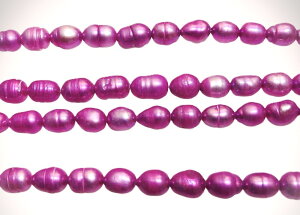 Wp[@`F[sNF@ZWi߁j@I[o|eg` 7x5mm1{37cm@48@Vׁ@ANZT[p[c@|i@lbNX@sAX@C@W^iPVj