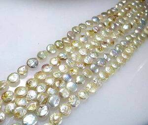 Wp[@RC^@zCgi`F@14mmx5mm@1A37cm25@ Vׁ@ANZT[p[c@|i@lbNX@CO@W^iPVj