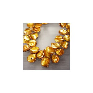 Wp[@PVNI@S[h@13`15x18`20mm@1A@߁@Vׁ@ANZT[p[c@VR@ꕨ