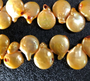 Wp[@^@CG[S[hF@@()12`15mm@1{20mm24@ Vׁ@ANZT[p[c@|i@lbNX@sAX@C@W^iPVj