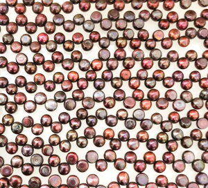 Wp[@oCIbg@{^obNRC NI@8x4mm1{20cm@34@Vׁ@ANZT[p[c|i@lbNX@sAX@CO