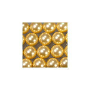 VFp[ @Eh @ \tgCG[@12mm@1{@ANZT[p[c@|pi@vXbg@lbNX