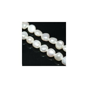 Wp[@obN@5x6mm@zCg 嗱@VR@ANZT[p[c@|i@lbNX@1{ V