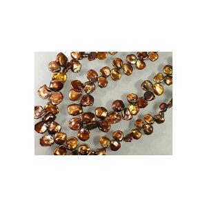 Wp[@ S[huE()@PVobN@()8-12×9-13mm@1{@ANZT[p[c@|pi@vXbg@lbNX@pi