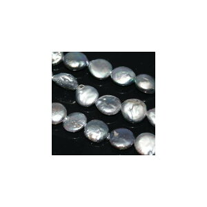 Wp[@ubN[@obNRC@12mm@1{@ANZT[p[c@|pi@^