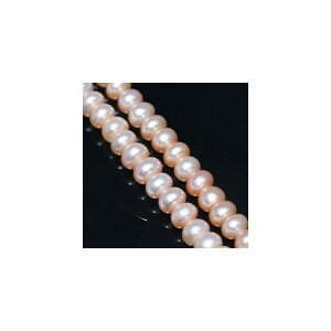 Wp[@R[@5×3mm@sN@1{@^쎩RF@ANZT[p[c@|pi@vXbg@lbNX