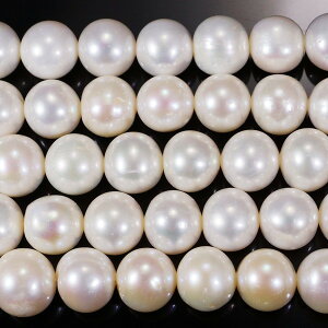 Wp[@zCg(RF)@@ہ@10mm@^@ANZT[p[c@|pi@lbNX