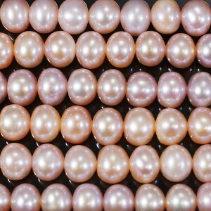 Wp[@s[`(RF)@ہ@6mm@^쎩RF@ANZT[p[c@|pi@lbNX