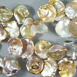 Wp[@~Xg~bNXiRFj@PVNI@()12-16mm@1{@ANZT[p[c@|pi@vXbg@lbNX