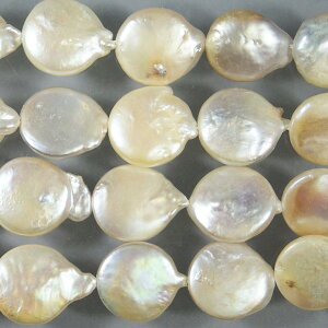 Wp[@zCg@RCobNVFCv@13mm@1{@ANZT[p[c@VR@|i