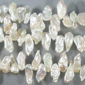 Wp[@zCgiRFj@PVNI@()8x12mm@Vׁ@ANZT[p[c@|i@lbNX@VR