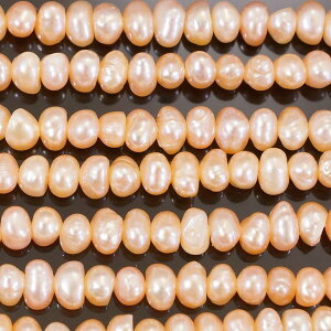 Wp[@s[`@ۃobN@4mm@1{@Vׁ@ANZT[p[c@|i@lbNX@CO@W^