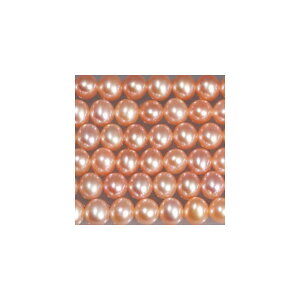 Wp[@s[`RF@ہ@5mm@^@ANZT[p[c@|pi@pi@ꕨ샊