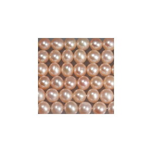 Wp[@sN@ہ@5mm@1{@^쎩RF@ANZT[p[c@|pi@vXbg@lbNX