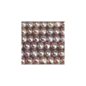 Wp[@p[v@ہ@5mm@1{@^쎩RF@ANZT[p[c@|pi@vXbg@lbNX