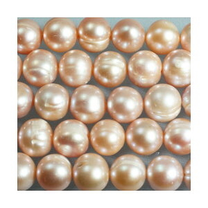 Wp[@s[`RF@ہ@10mm@^@ANZT[p[c@|pi@lbNX@ꕨ