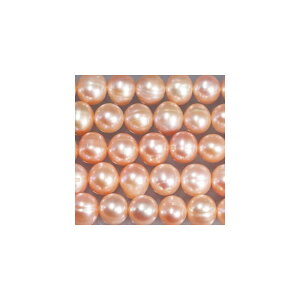 Wp[@sNRF@ہ@8mm@Vׁ@ANZT[p[c@|i@VR@lbNX