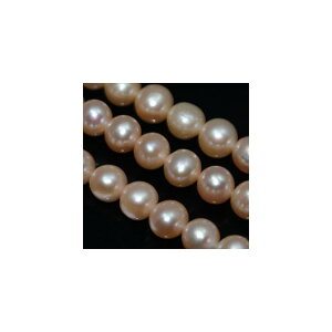 Wp[@Eh@9mm@s[`@1{@^쎩RF@ANZT[p[c@|pi@vXbg@lbNX