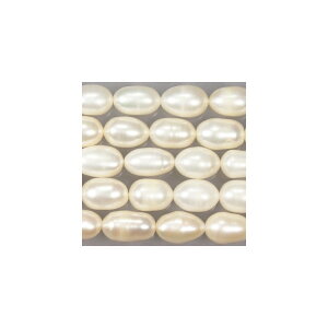 Wp[@zCg@I[o@嗱@@7x9|11mm@Vׁ@ANZT[p[c@|i@lbNX@VR